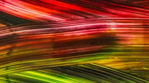 Esposito's Painting Services photo 2